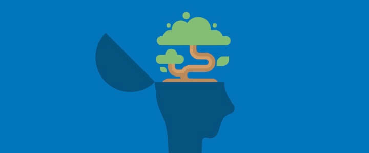Mindfulness lawyers
