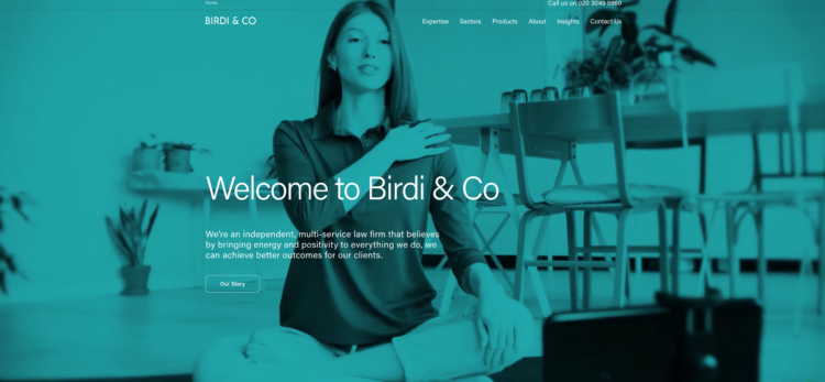 Birdi & Co law firm website