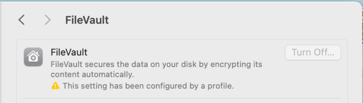 Security tips for mac using lawyers