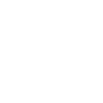 VUCA Prime symbol for agility (white)