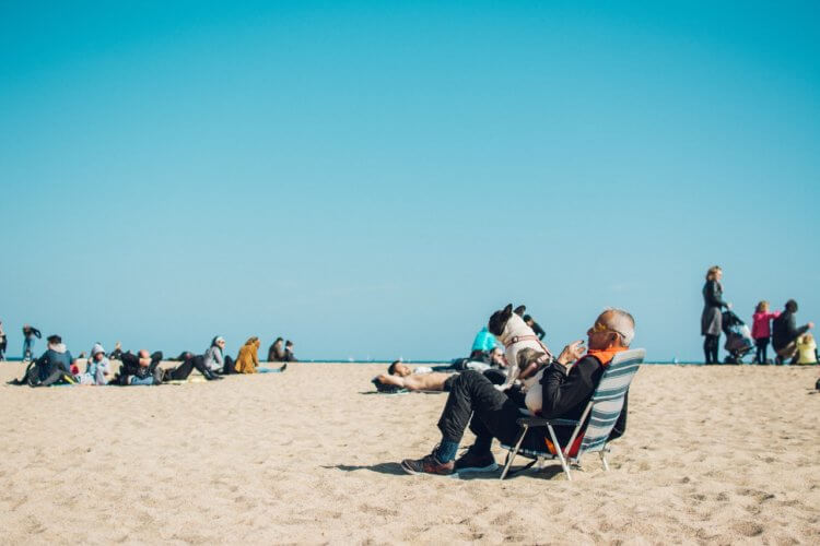 older man on a beach with a french bulldog