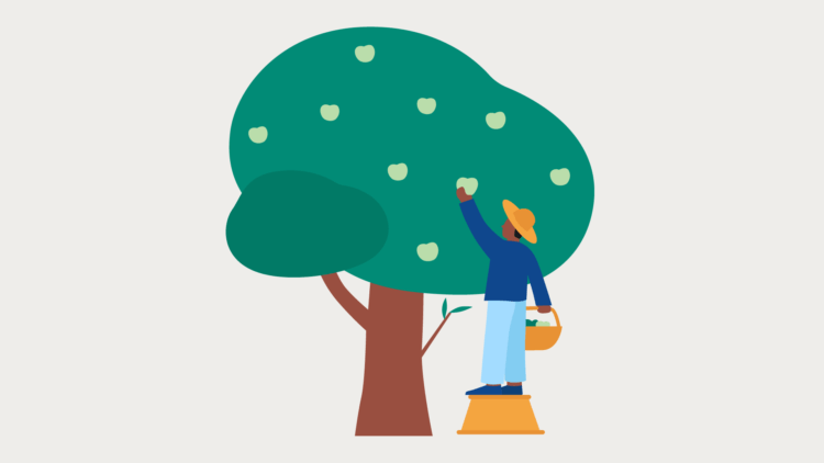 Clio Resource