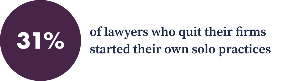 2023 Solo LTR-Data Graphic-31% of lawyers