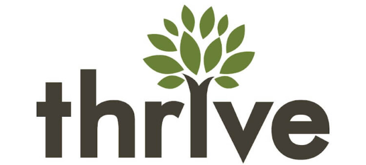Thrive Agency web design