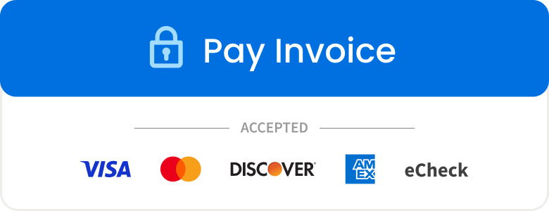 paybutton main payinvoice