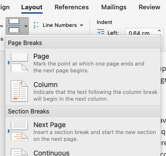 Word Layout tab Breaks menu showing Next Page section break option.